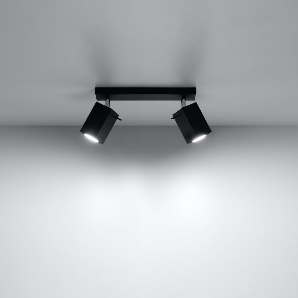 Ceiling lamp MERIDA 2 black