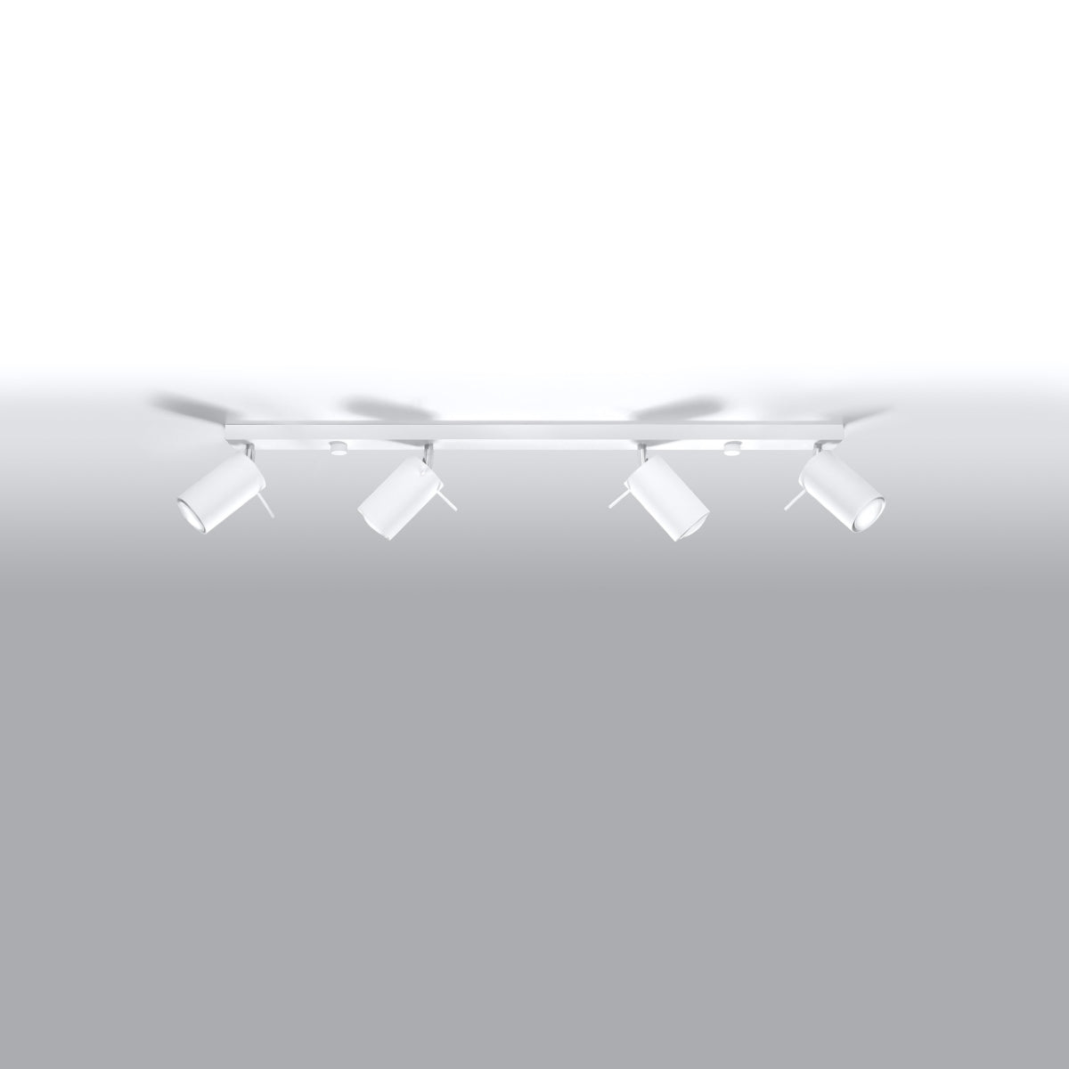 Ceiling lamp RING 4L white