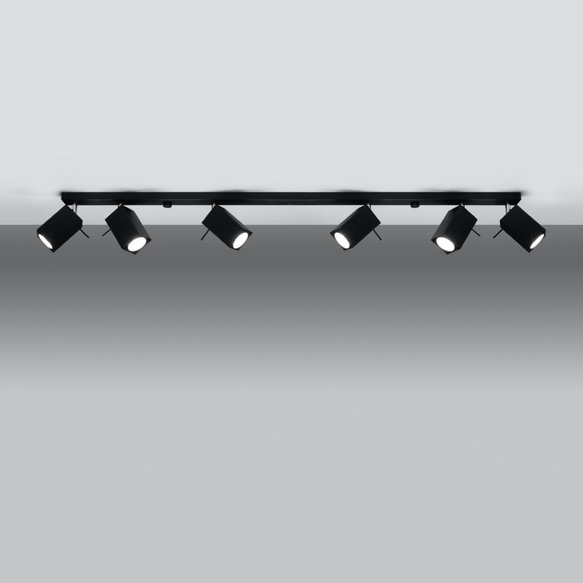 Ceiling lamp MERIDA 6L black